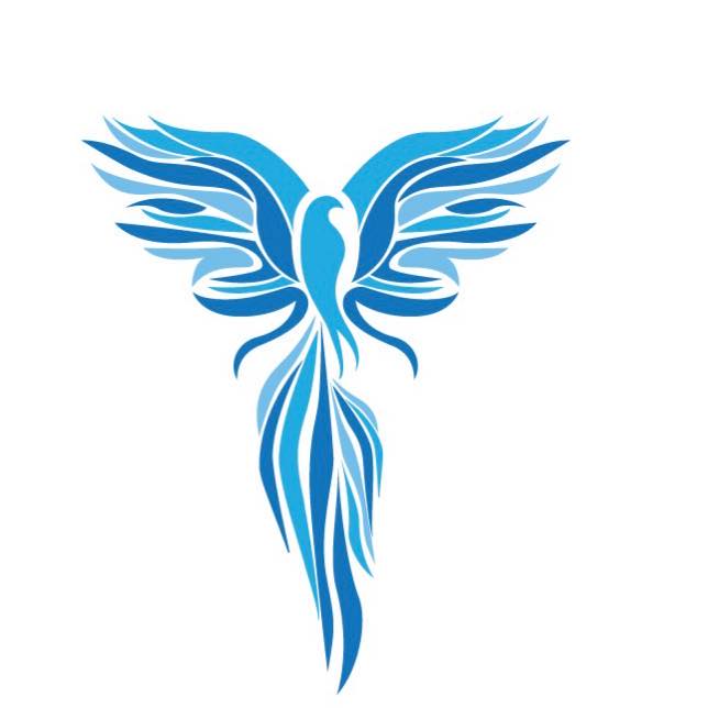 Onyx Multisport logo